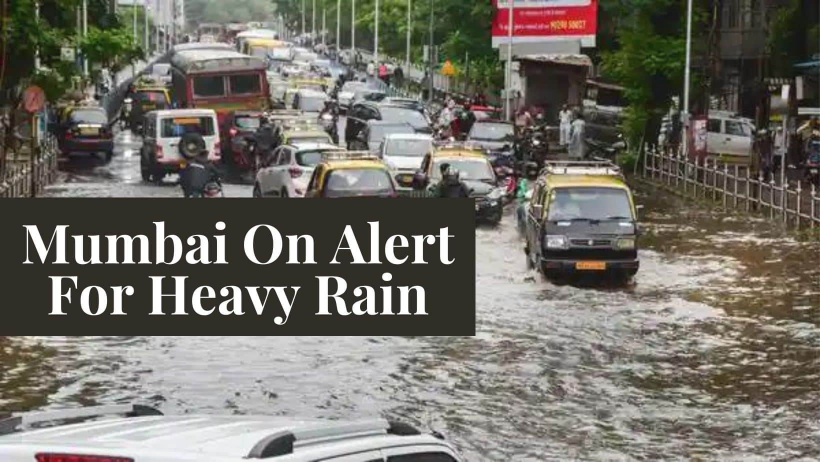 Mumbai On High Alert For Heavy Rain, Waterlogging: Diarrhoea To Typhoid Watch Out For These Health Hazards